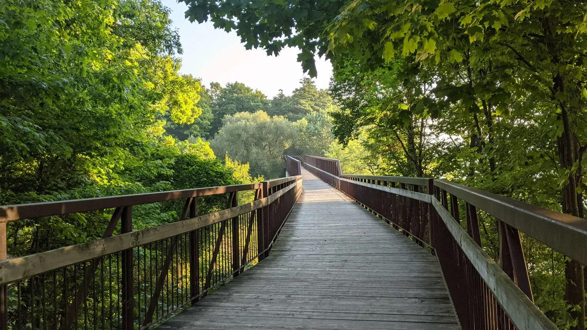Photograph of a walking path bridge going into a green forest