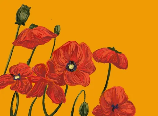 Illustration of a small bunch of red poppies on an orange background