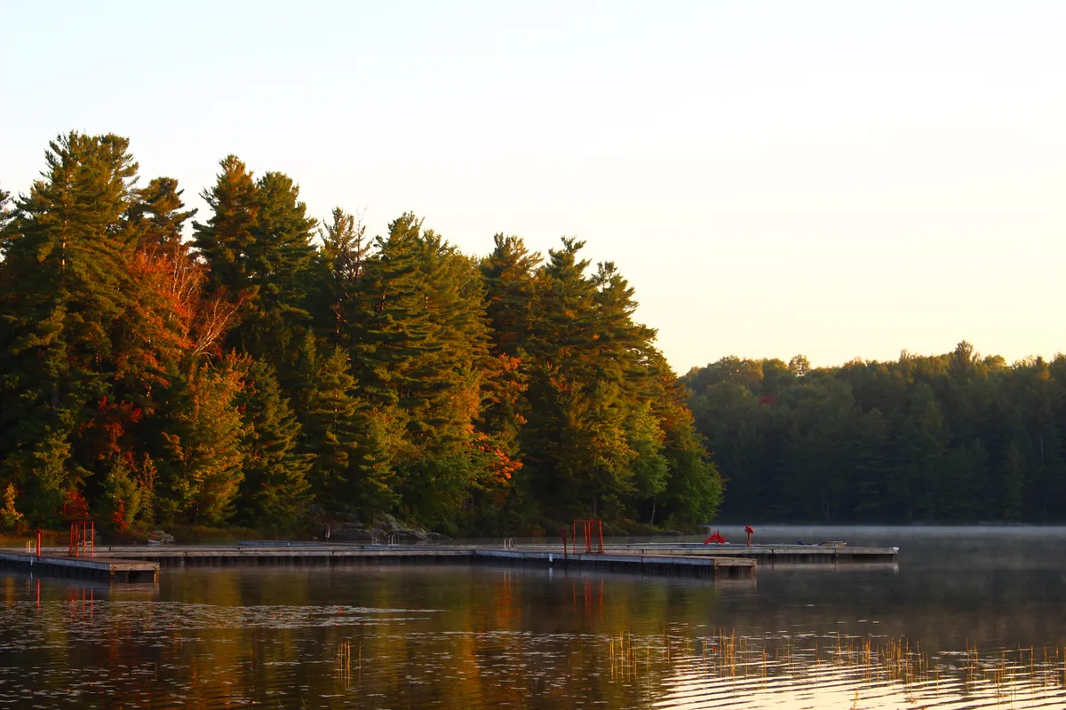 Credits: Jasmine - Scenery of lake with pine trees in the background