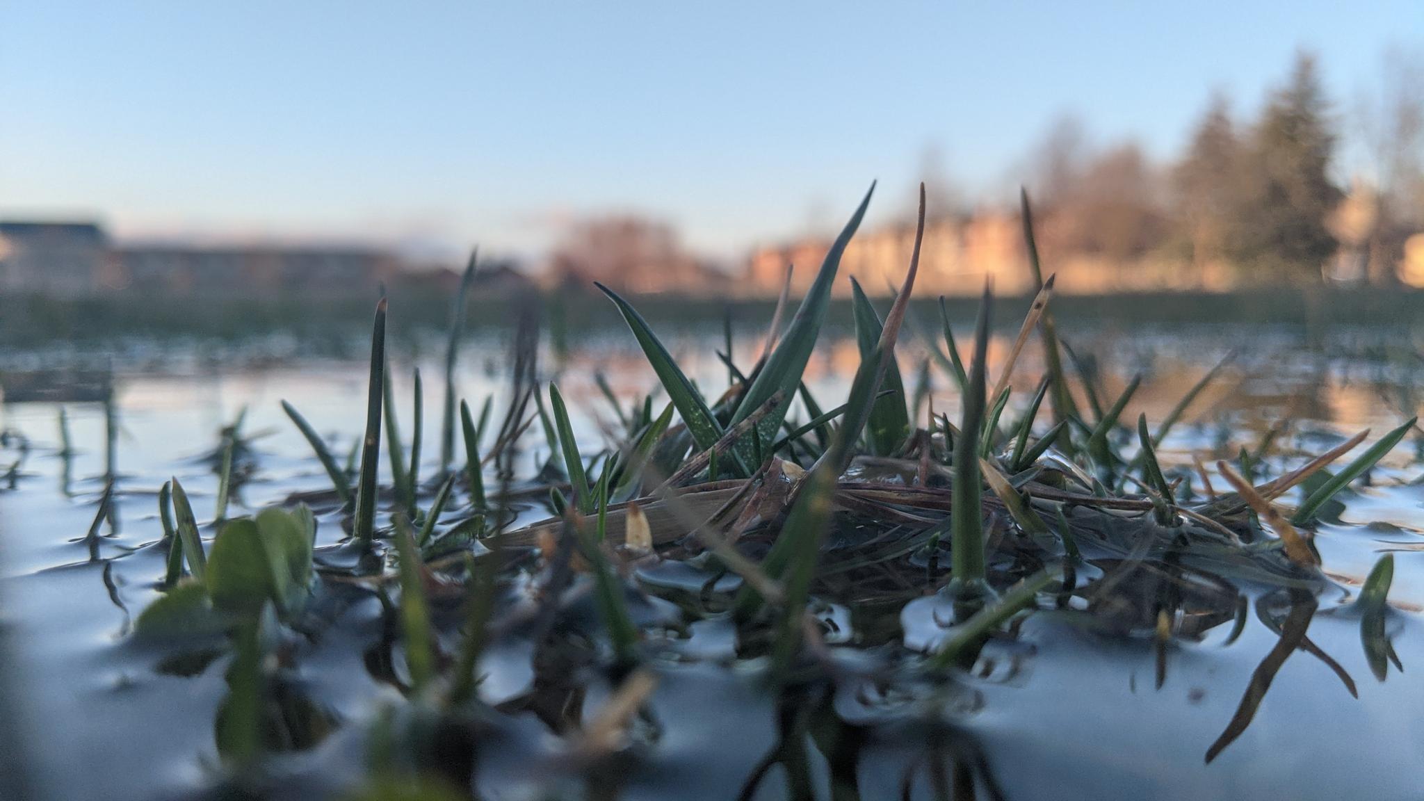 An Image of a Puddle.